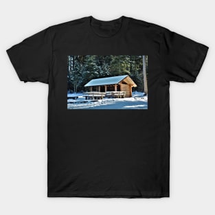 A cold place to meet T-Shirt